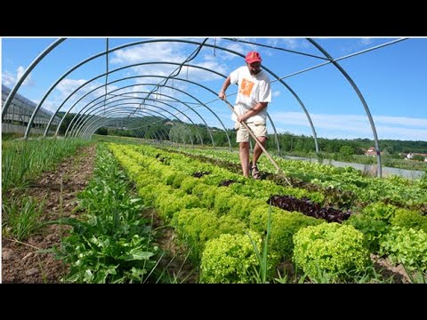 Embracing Sustainable Agriculture - The Benefits of Organic Farming (17 Minutes)