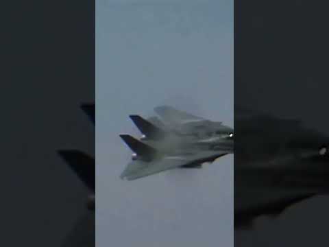 Experience the Thrill of an Epic F-14 Tomcat Flyby