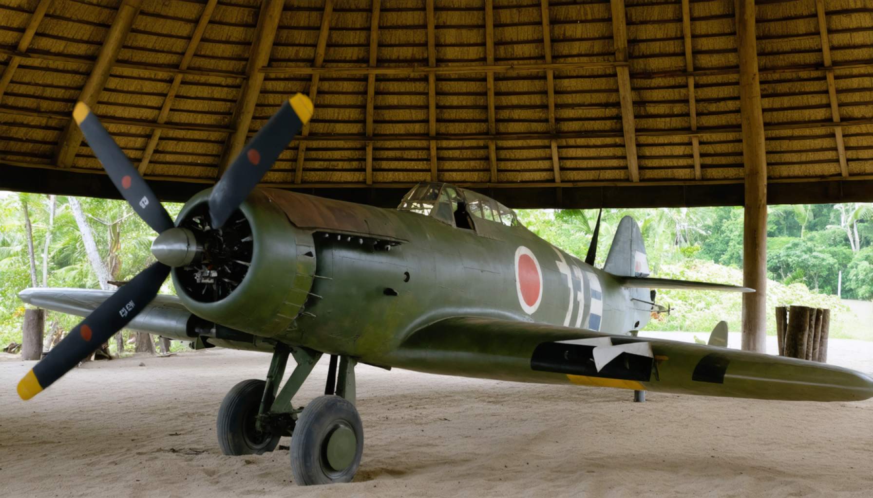 The Hidden Gem of the South Pacific: How a WWII Museum in Vanuatu is Keeping History Alive